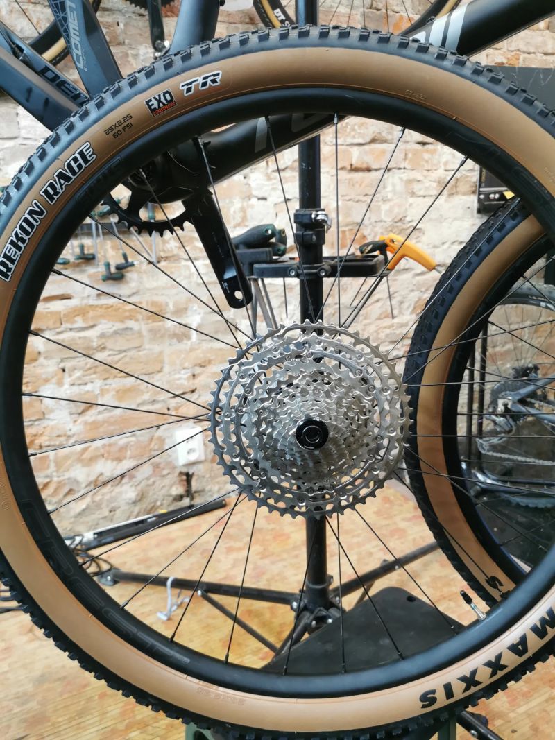 Dema Rebell custom 2025 