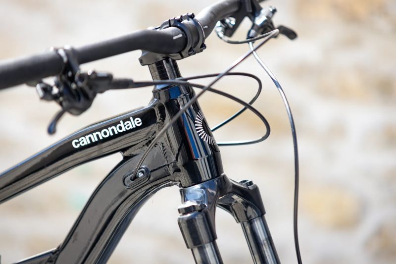 Cannondale Habit Custom