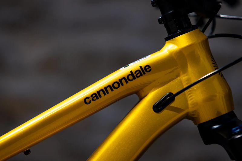Cannondale Habit HT 2 - vystavený kus / L