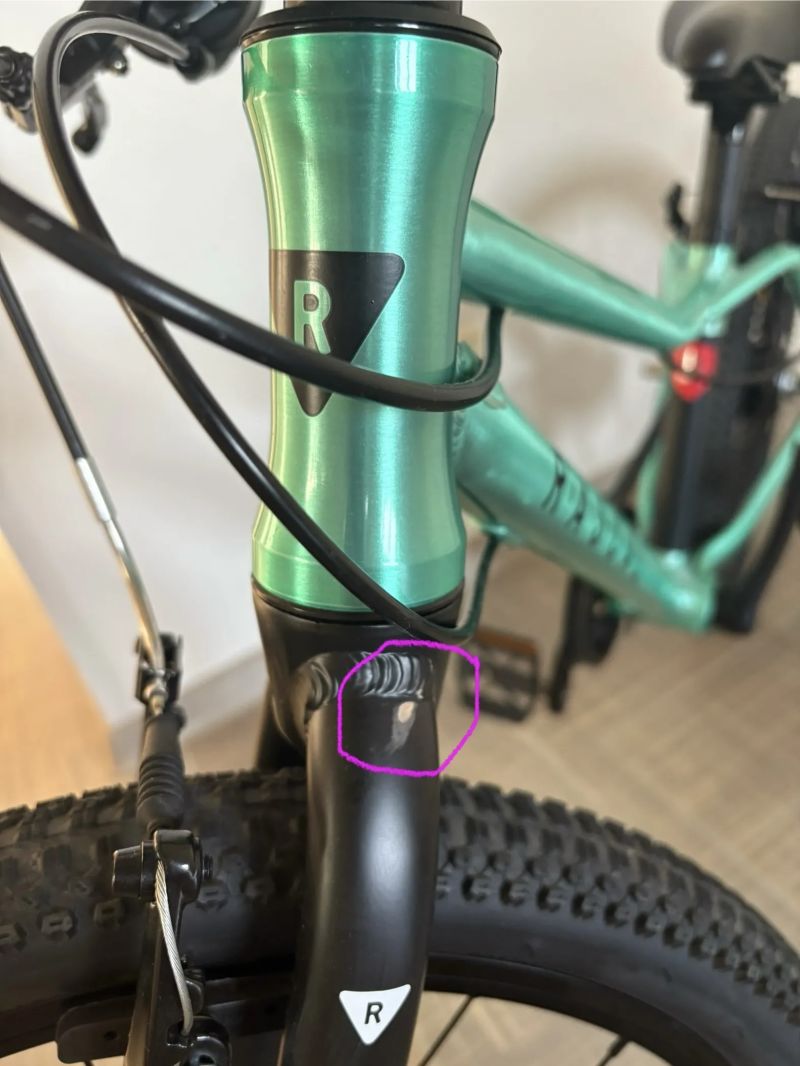 Rascal Limited Edition