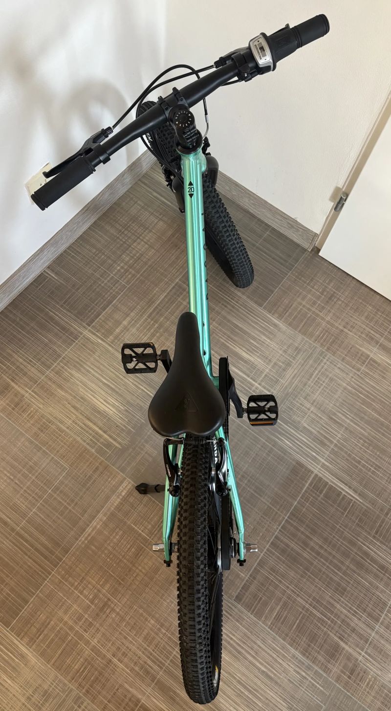 Rascal Limited Edition