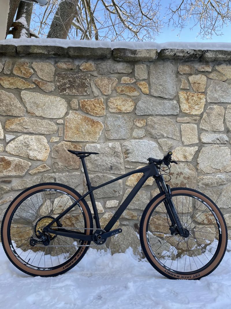 Carbon 29”