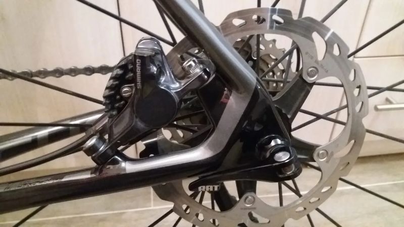 Focus Cayo , Ultegra, karbon, kotouče, kola DT dwiss