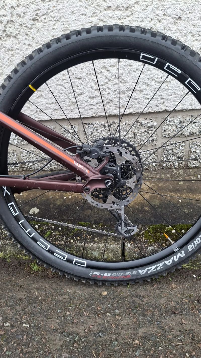 Canyon CANYON NEURON AL 7 – 29“