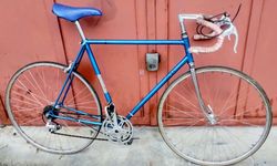 Favorit f1 s tv, 1977 rám 