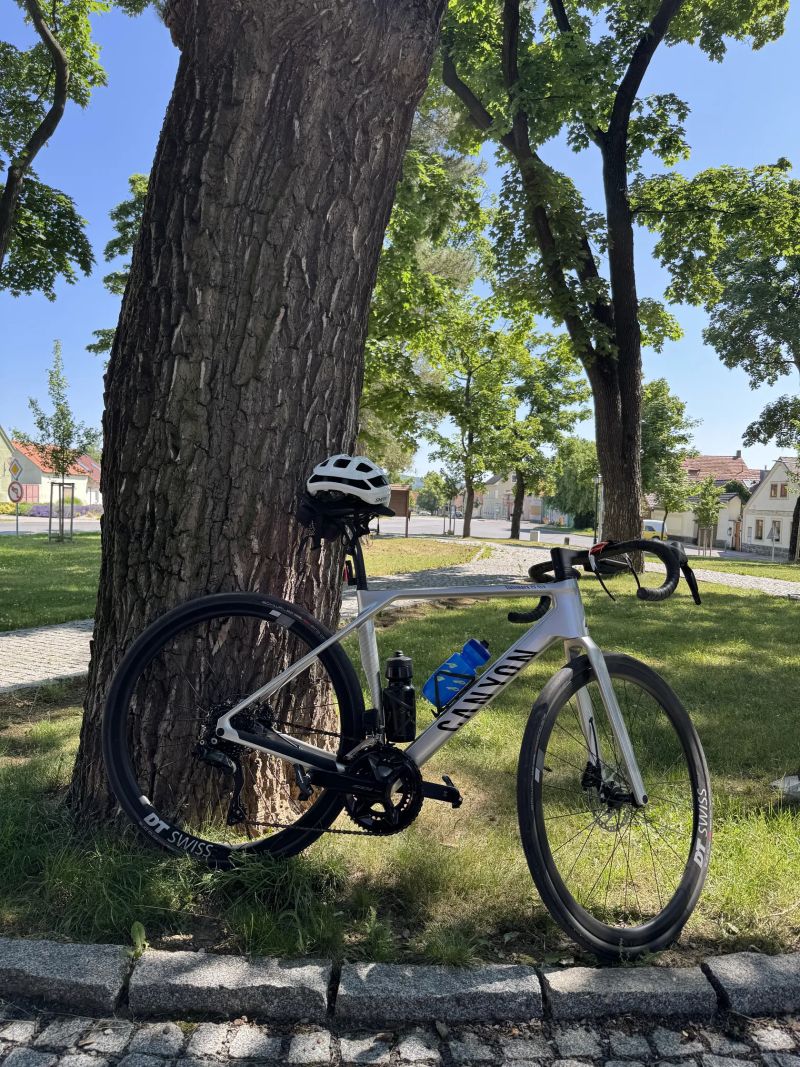 DT Swiss ERC 1600 Dicut 35mm – najeto cca 800 km