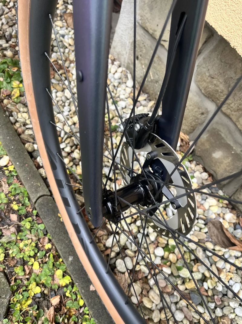 Giant Revolt 0 L 2021