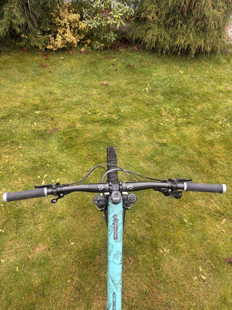 Santa Cruz Megatower CC - Custom