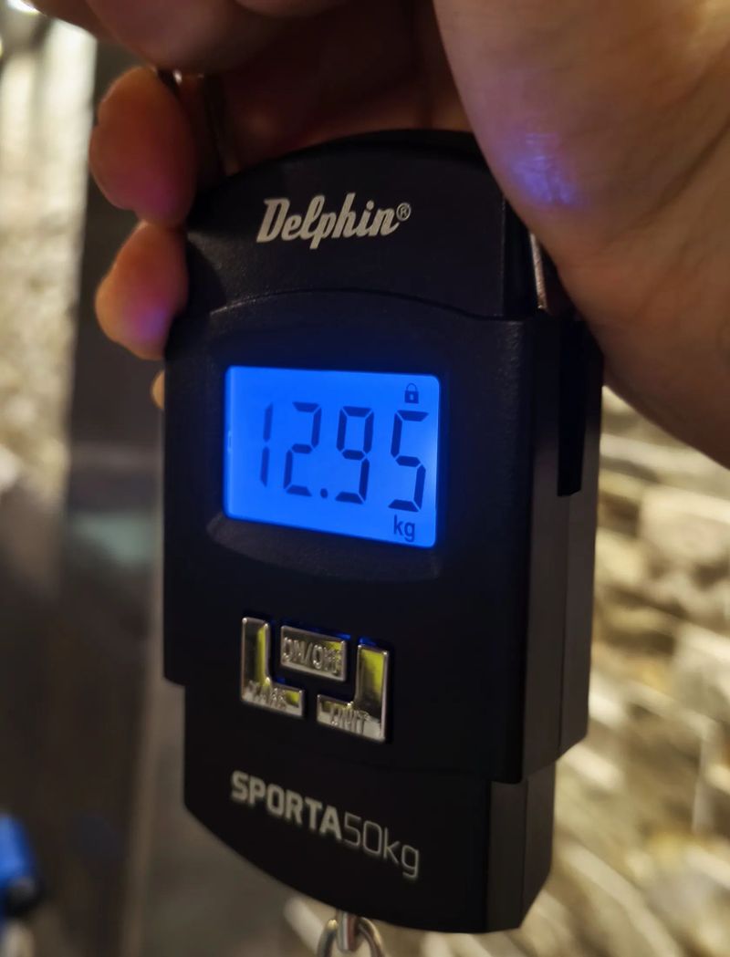 Trek Slash AXS,odpružení Ultimate, kola DT SWISS 1200