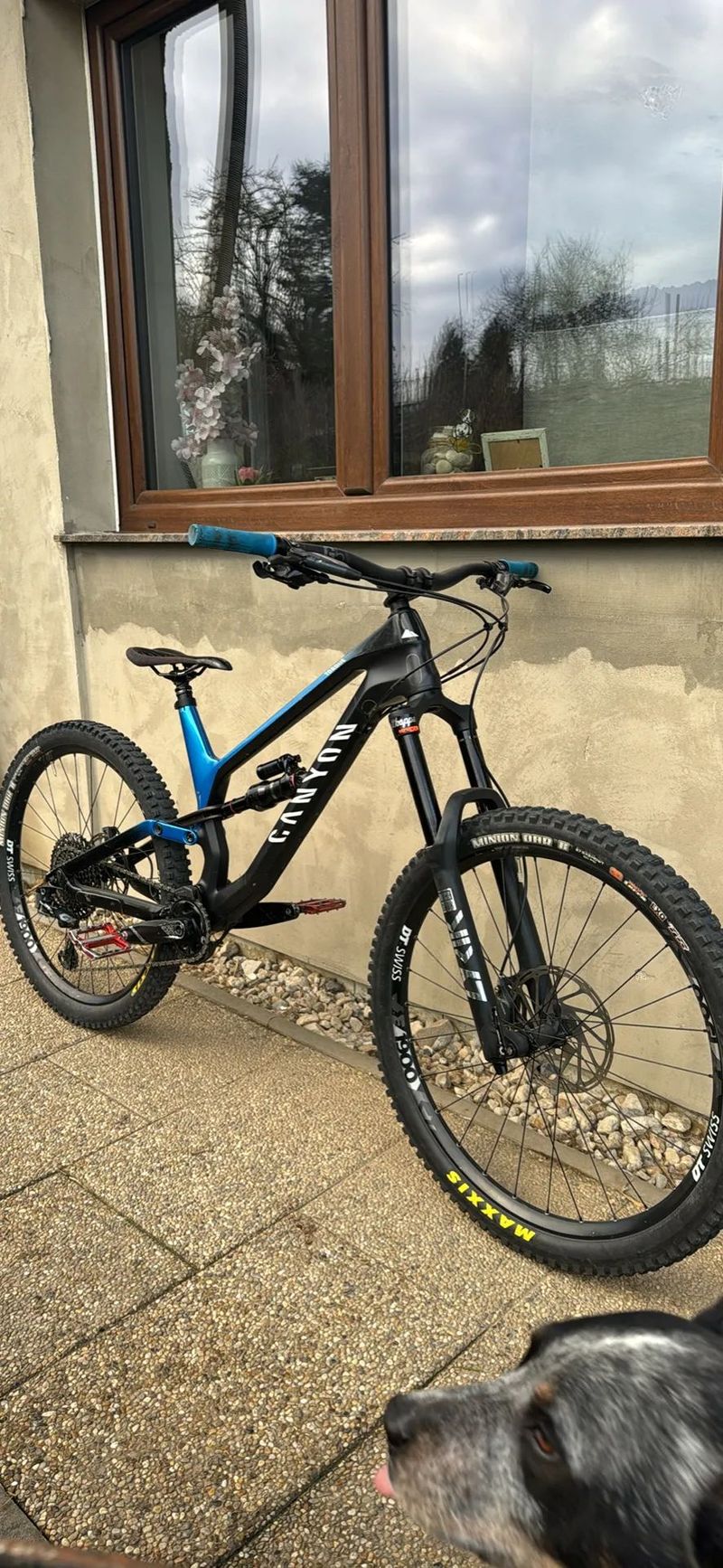 Canyon Torque CF 7.0