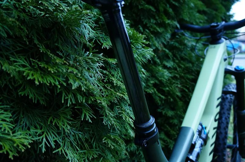 Canyon Spectral CF M121