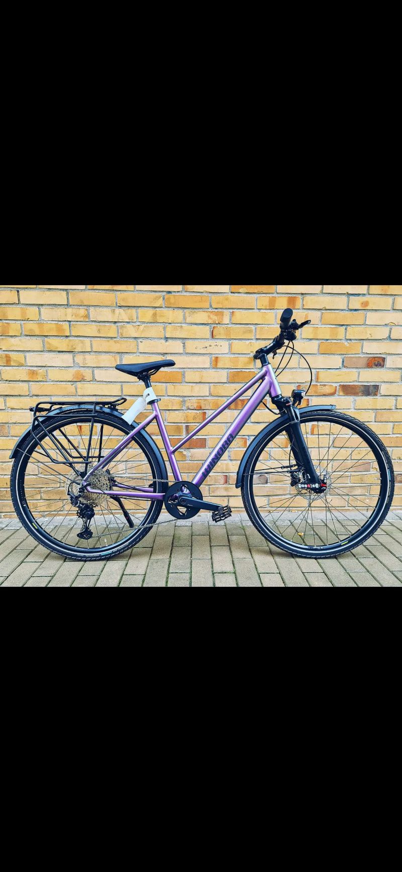 Winora Domingo 12 Pro Lady Chameleon