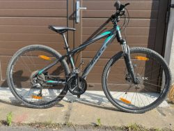 Author Grand 2017 16"