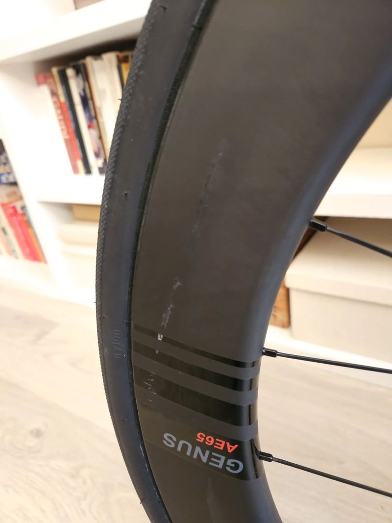 Ere research Genus AE 65