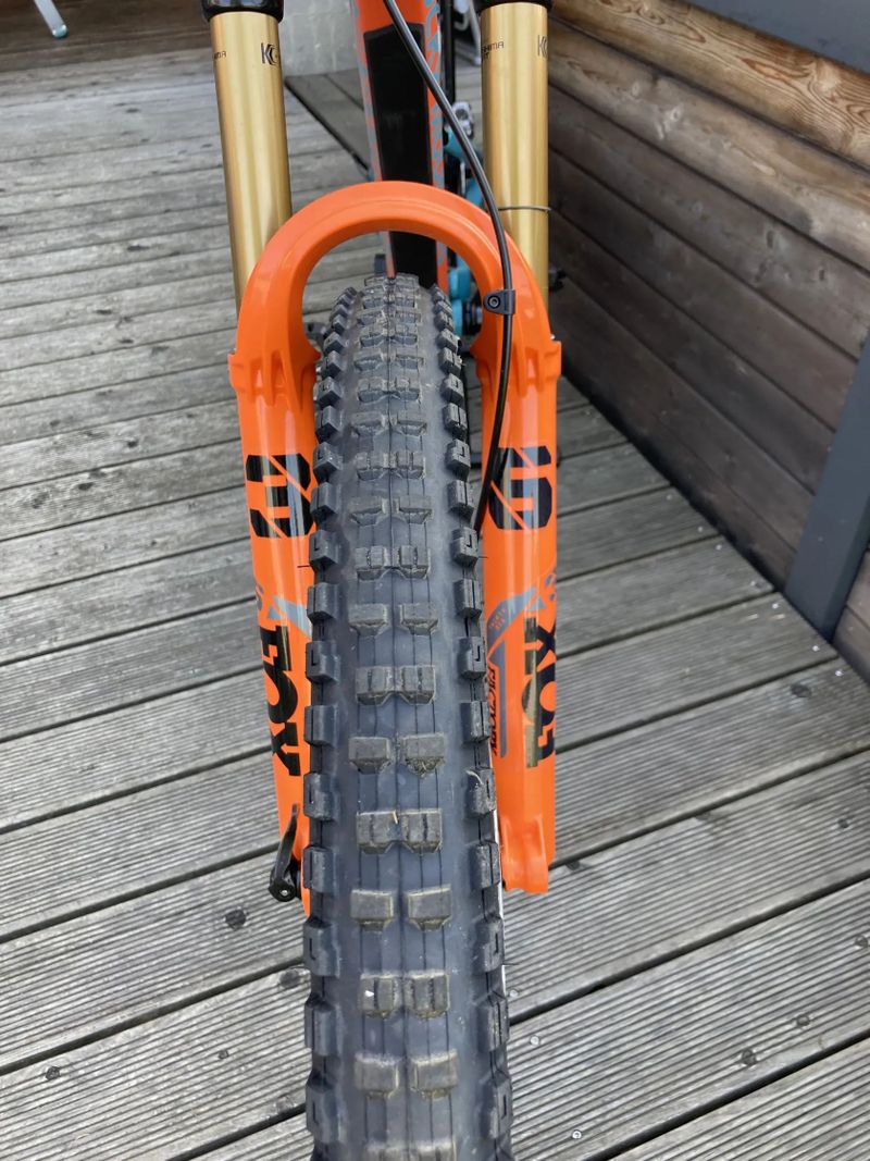 Rocky Mountain Instinct