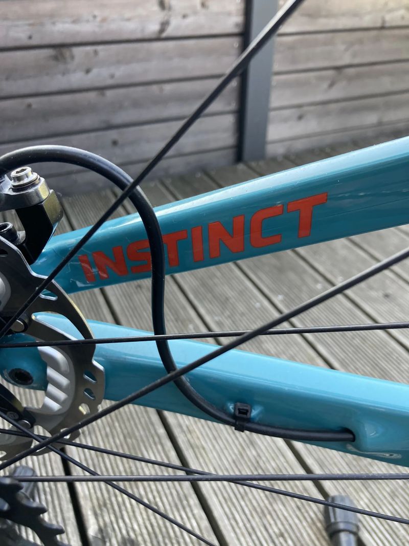 Rocky Mountain Instinct