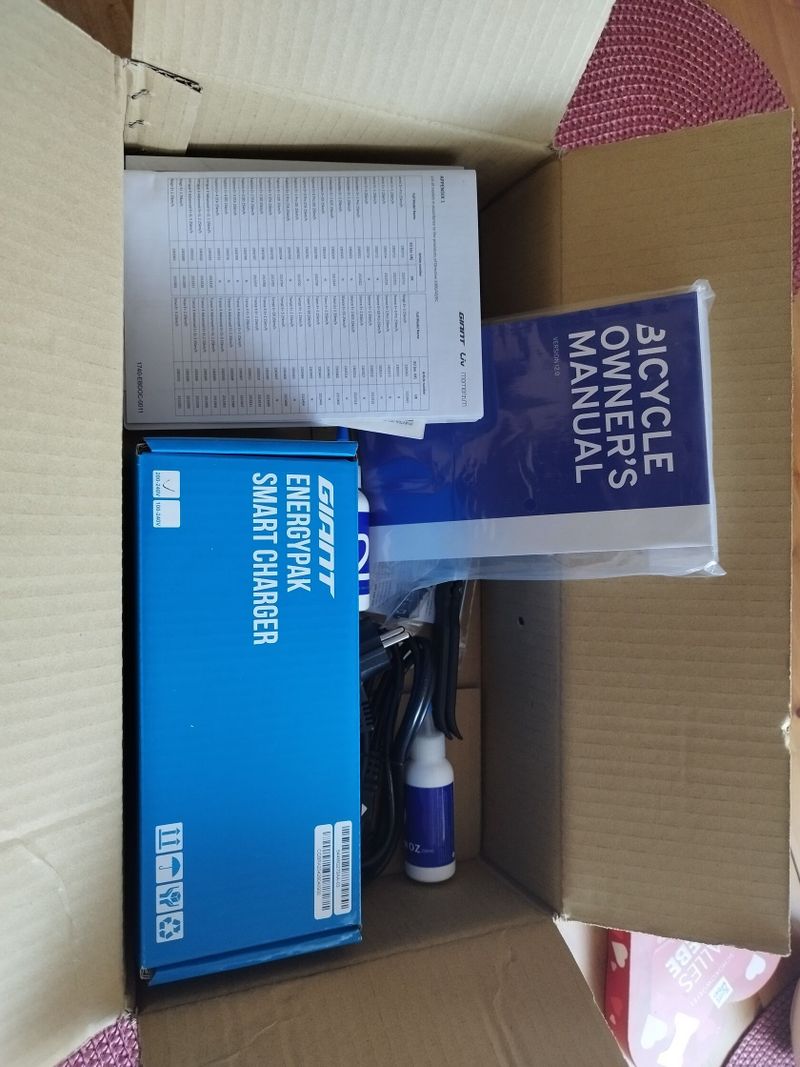 Giant Reign E3+ 800W Nové! Seřízené! odp.DPH možný!