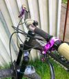 Transition scout 