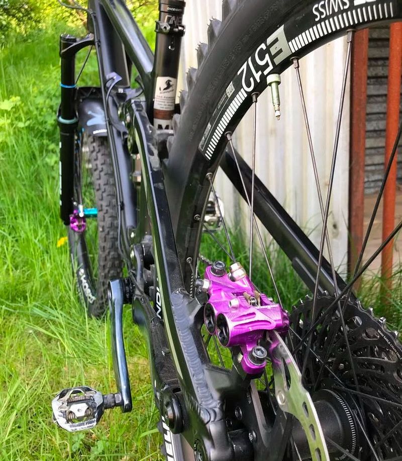 Transition scout 