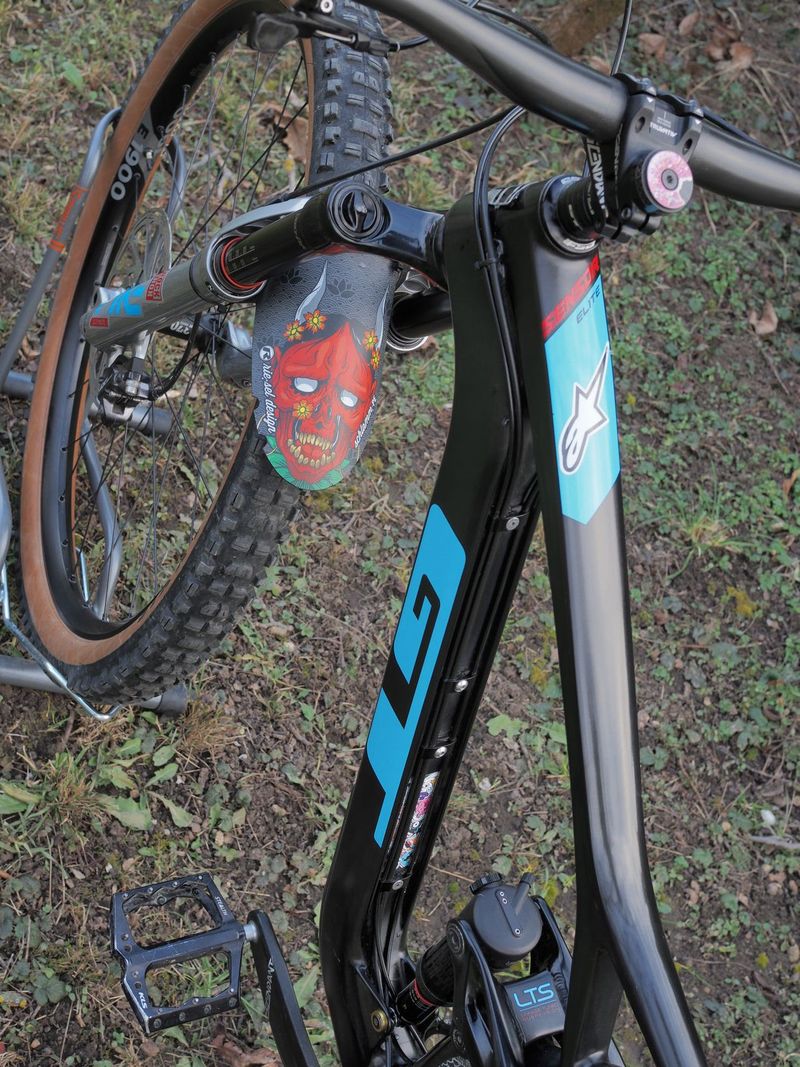 GT Sensor Carbon