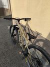 Trek Roscoe 9