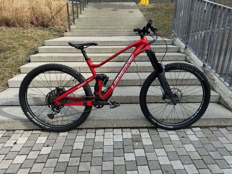 Lapierre Spicy CF Team 170/170 L - Rainbow Edition