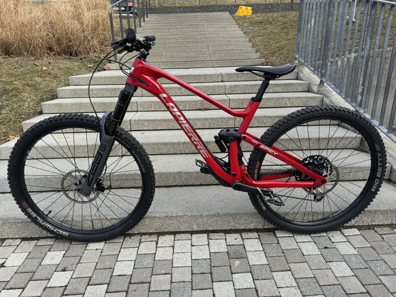 Lapierre Spicy CF Team 170/170 L - Rainbow Edition