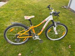 Dětské kolo Specialized 24”