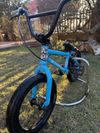 Wethepeople Seed 16”