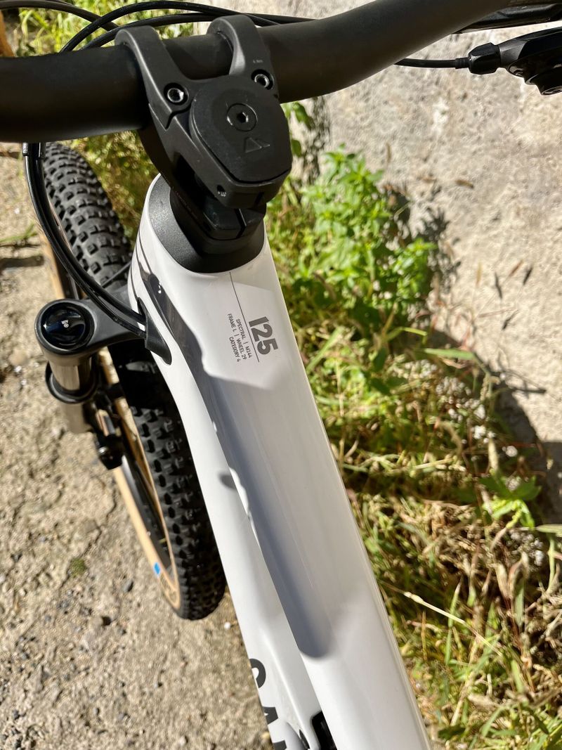 Canyon Spectral 125 CF7