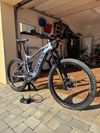 Kellys Theos i50 2022