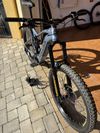 Kellys Theos i50 2022