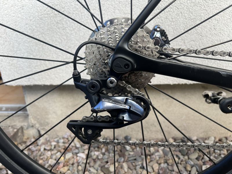 Canyon Endurance CF SL 8.0 