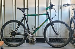 Kolo Bianchi Peregrine 