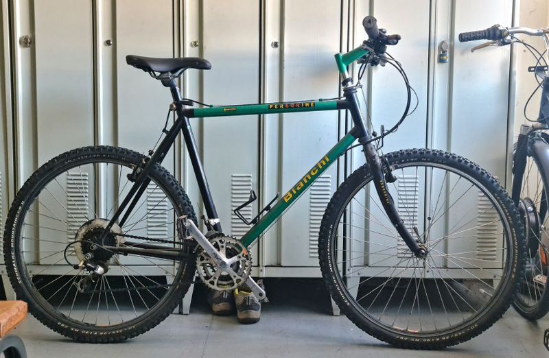 Kolo Bianchi Peregrine 