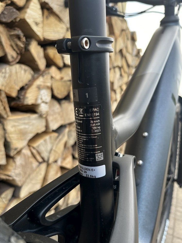 Giant Liv Embolden E+ Pro 1, 29",velikost S