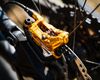 Cannondale Jekyll 4 2018