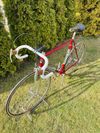 Colnago Super Profil Campagnolo 50th