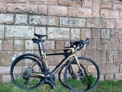Silniční kolo SUPERIOR X-Road Team Issue SE Matte Olive Metallic