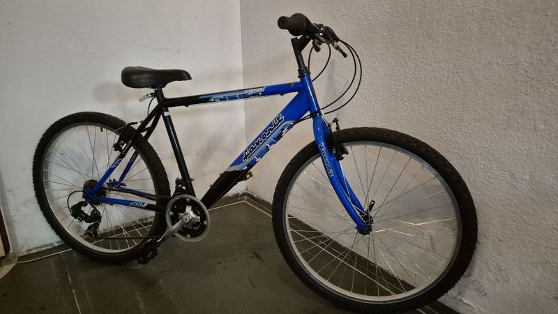 Chlapecké kolo Favorit
