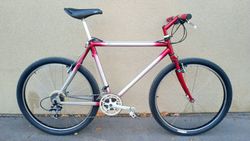 Horské kolo 1993 Giant Cadex ALM1