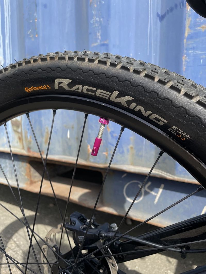 CTM dirtking pro CUSTOM BUILD