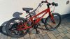 Levit Kogo 20"