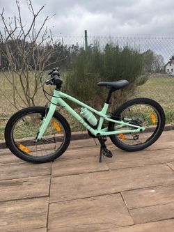Specialized Jett 20" Gloss Oasis / Forest Green 