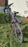 Elektrokolo Maxbike