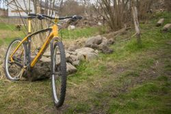 On-One Lurcher Carbon 29
