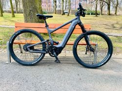 RIESE&MULLER delite mountain Rohloff (bosch performance cX 4 gen)pc:180tis