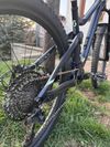 Scott genius contessa
