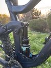 Scott genius contessa