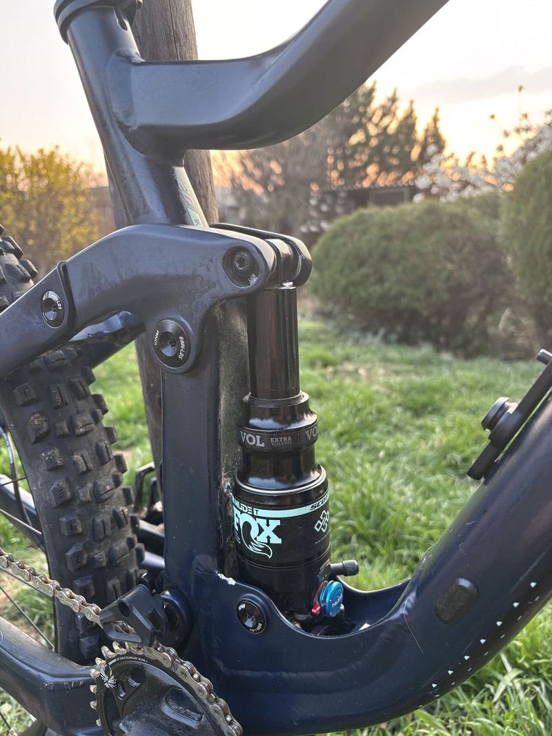 Scott genius contessa